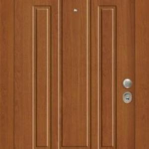 Portes Asfaleias Sxedia Pantografou 057