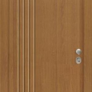 Portes Asfaleias Sxedia Pantografou 067