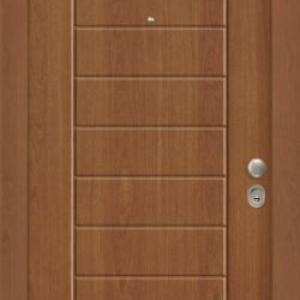 Portes Asfaleias Sxedia Pantografou 095