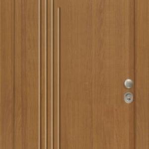 Portes Asfaleias Sxedia Pantografou 125