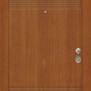 Portes Asfaleias Sxedia Pantografou 144